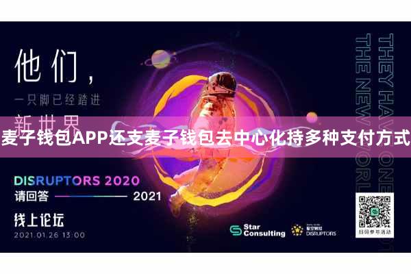 麦子钱包APP还支麦子钱包去中心化持多种支付方式