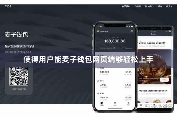 使得用户能麦子钱包网页端够轻松上手