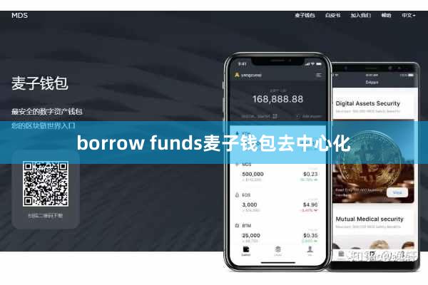 borrow funds麦子钱包去中心化