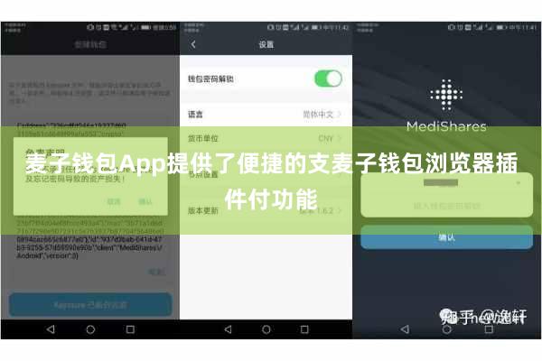 麦子钱包App提供了便捷的支麦子钱包浏览器插件付功能
