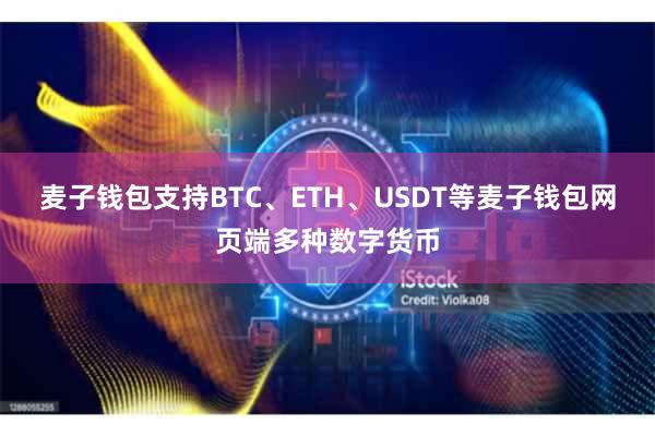 麦子钱包支持BTC、ETH、USDT等麦子钱包网页端多种数字货币